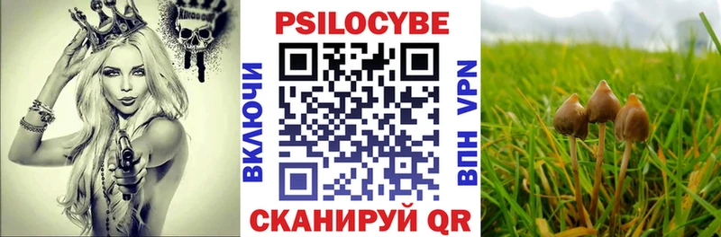 Купить закладки  Ленинск  Галлюциногенные грибы ЛСД 
